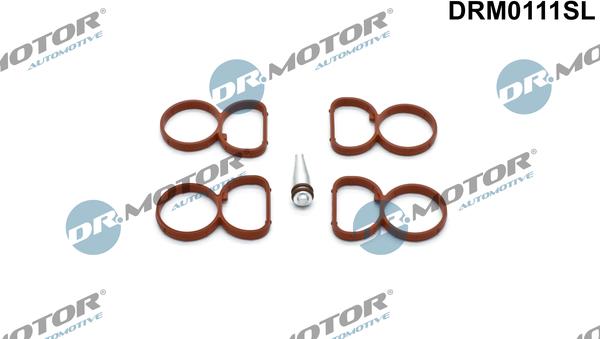 Dr.Motor Automotive DRM0111SL - Set garnituri, galerie admisie - allinparts.ro