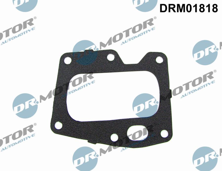 Dr.Motor Automotive DRM01818 - Garnitura, ventil AGR allinparts.ro