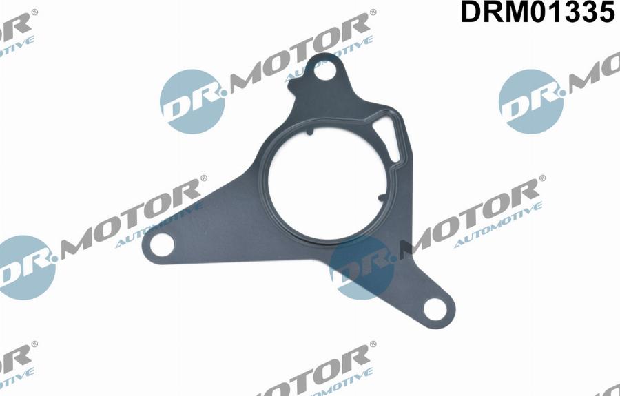 Dr.Motor Automotive DRM01335 - Garnitura, pompa vacuum - allinparts.ro