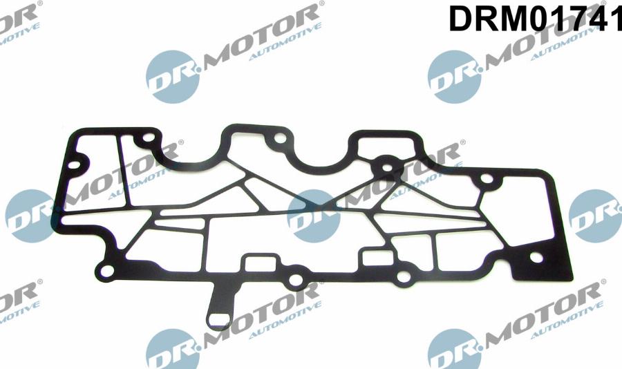 Dr.Motor Automotive DRM01741 - Garnitura,aerisire bloc motor - allinparts.ro