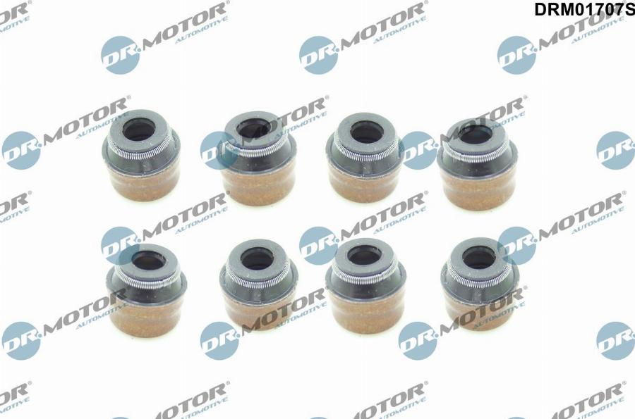 Dr.Motor Automotive DRM01707S - Etansare, supape - allinparts.ro