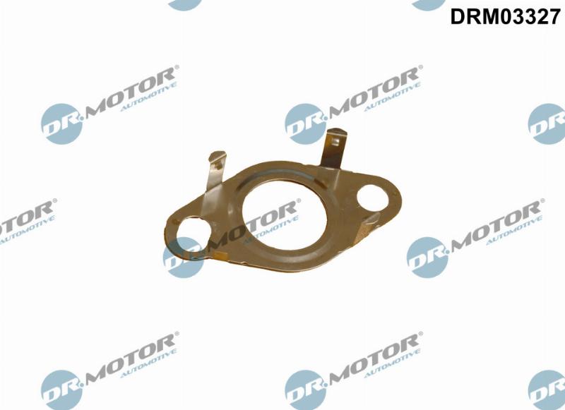 Dr.Motor Automotive DRM03327 - Garnitura, conducta supapa-AGR - allinparts.ro