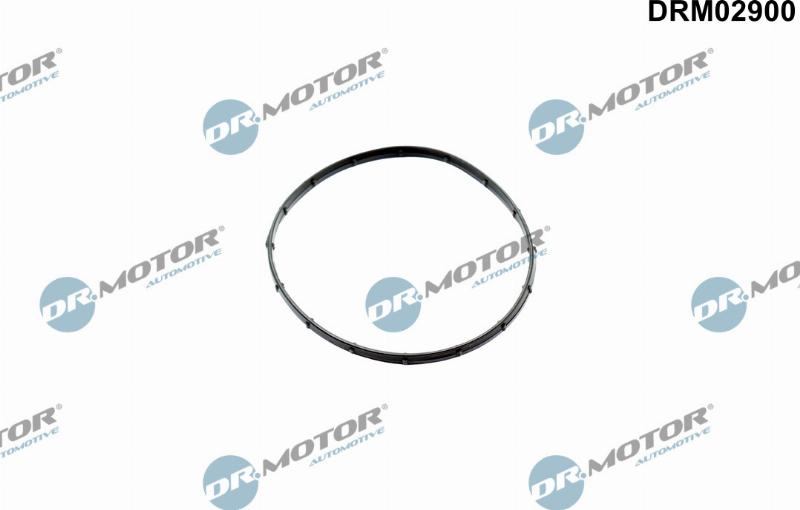 Dr.Motor Automotive DRM02900 - Garnitura, pompa vacuum allinparts.ro