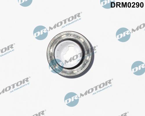 Dr.Motor Automotive DRM0290 - Simering, ax cu came allinparts.ro
