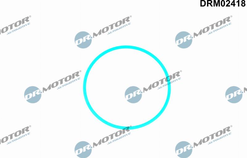 Dr.Motor Automotive DRM02418 - Garnitura, pompa combustibil - allinparts.ro