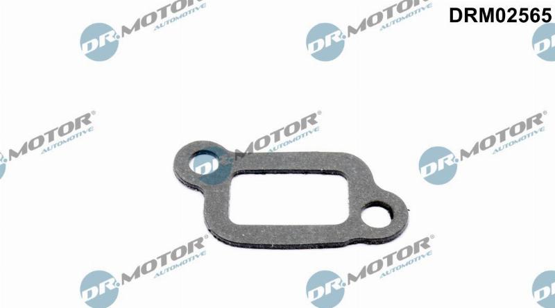 Dr.Motor Automotive DRM02565 - Garnitura, carcasa termostat - allinparts.ro