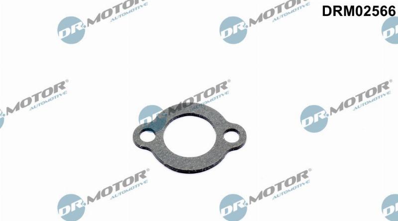 Dr.Motor Automotive DRM02566 - Garnitura,teava lichi de racire - allinparts.ro