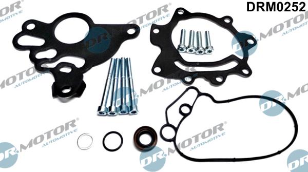 Dr.Motor Automotive DRM0252 - Set reparatie, pompa vacuum (Siste frana) - allinparts.ro