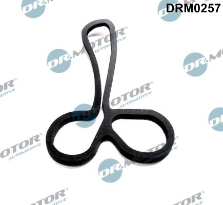 Dr.Motor Automotive DRM0257 - Etansare, racire ulei - allinparts.ro