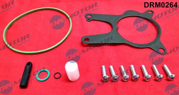 Dr.Motor Automotive DRM0264 - Set reparatie, pompa vacuum (Siste frana) allinparts.ro