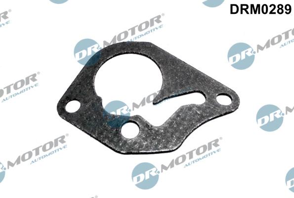 Dr.Motor Automotive DRM0289 - Garnitura, pompa vacuum allinparts.ro