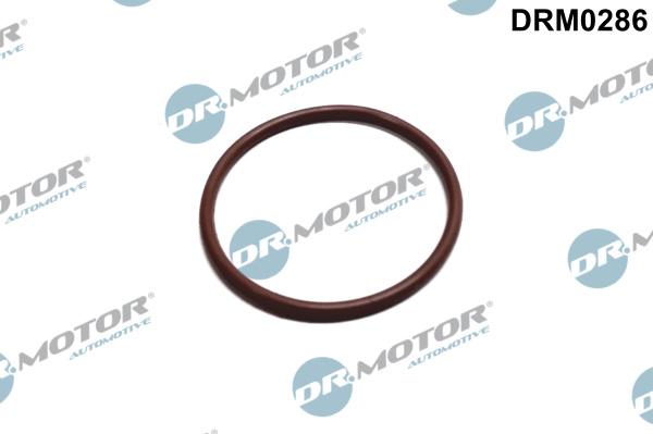Dr.Motor Automotive DRM0286 - Garnitura, pompa combustibil allinparts.ro