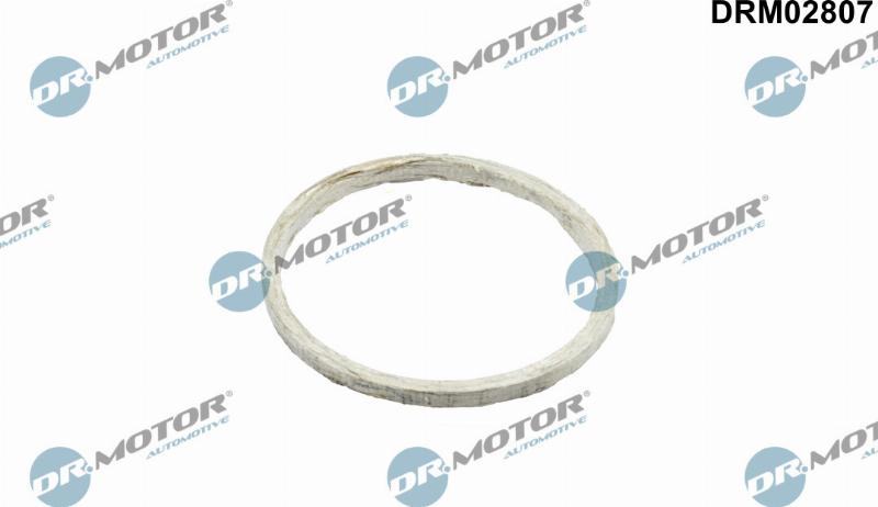 Dr.Motor Automotive DRM02807 - Garnitura, racord evacuare - allinparts.ro