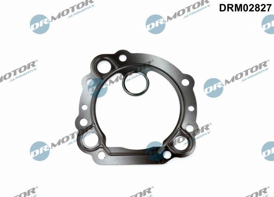 Dr.Motor Automotive DRM02827 - Garnitura, ventil AGR allinparts.ro