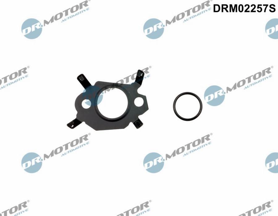 Dr.Motor Automotive DRM02257S - Set garnitura sistem EGR allinparts.ro