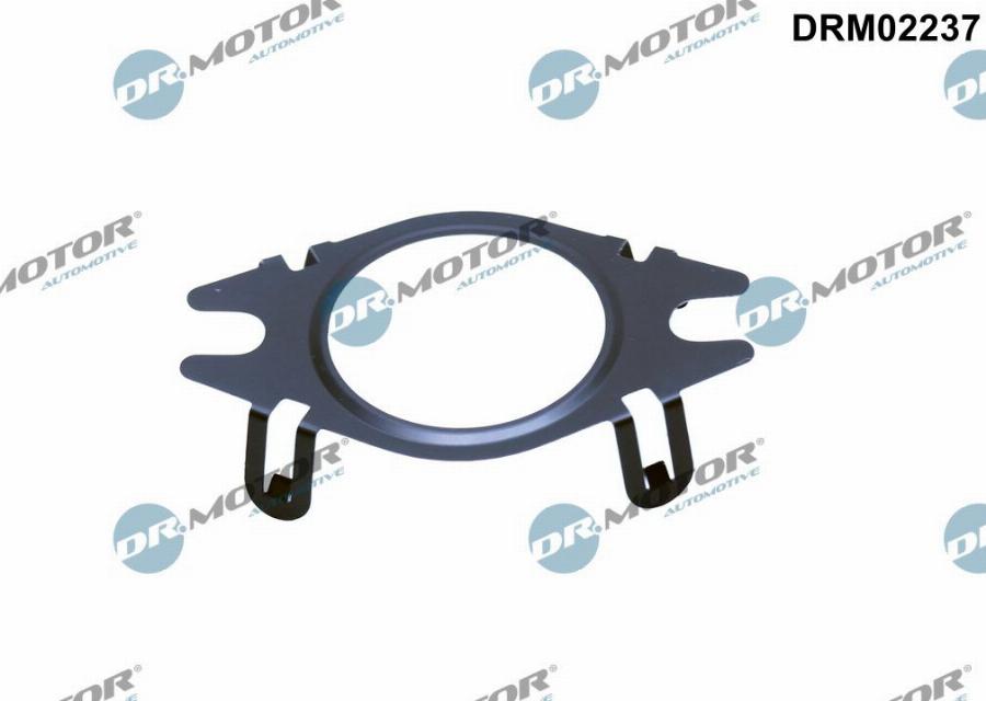Dr.Motor Automotive DRM02237 - Garnitura, conducta supapa-AGR allinparts.ro