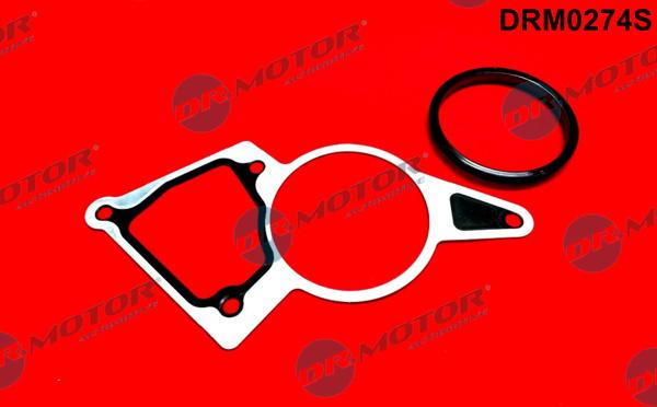 Dr.Motor Automotive DRM0274S - Garnitura, pompa vacuum allinparts.ro