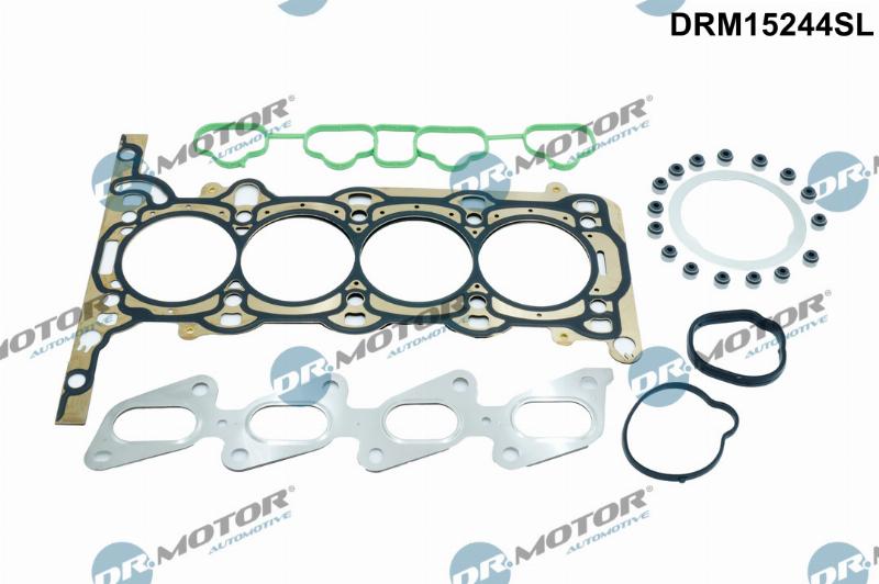 Dr.Motor Automotive DRM15244SL - Set garnituri, chiulasa - allinparts.ro