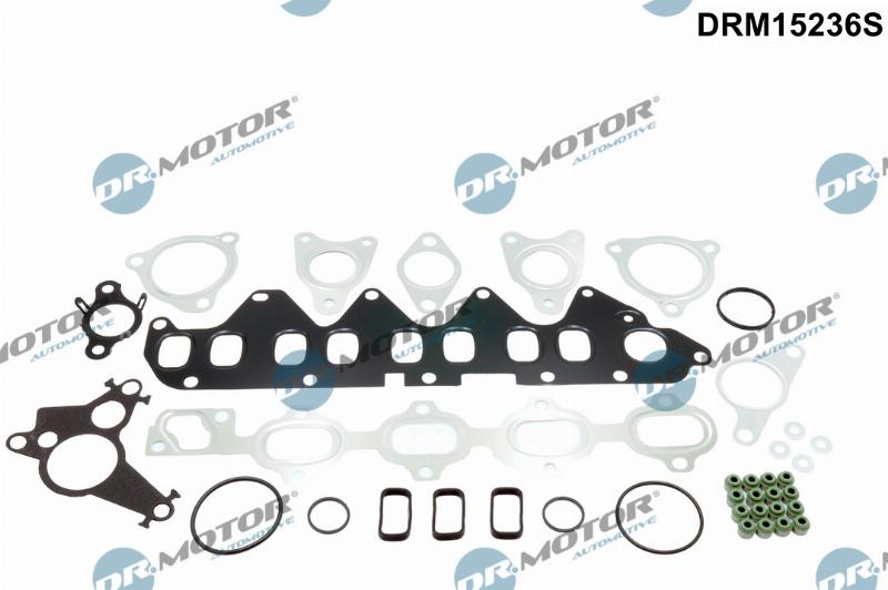 Dr.Motor Automotive DRM15236S - Set garnituri, chiulasa - allinparts.ro