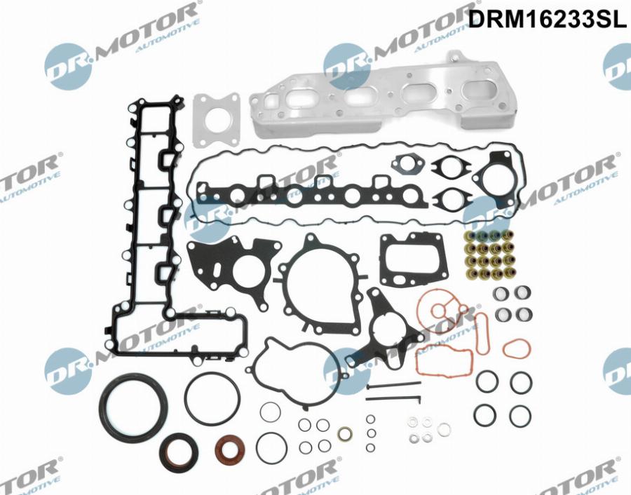 Dr.Motor Automotive DRM16233SL - Set garnituri complet, motor allinparts.ro
