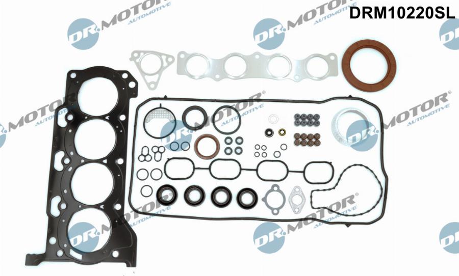 Dr.Motor Automotive DRM10220SL - Set garnituri complet, motor - allinparts.ro