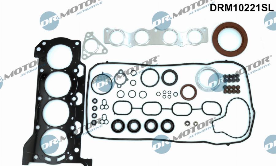 Dr.Motor Automotive DRM10221SL - Set garnituri complet, motor - allinparts.ro