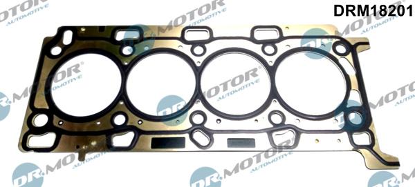 Dr.Motor Automotive DRM18201 - Garnitura, chiulasa - allinparts.ro