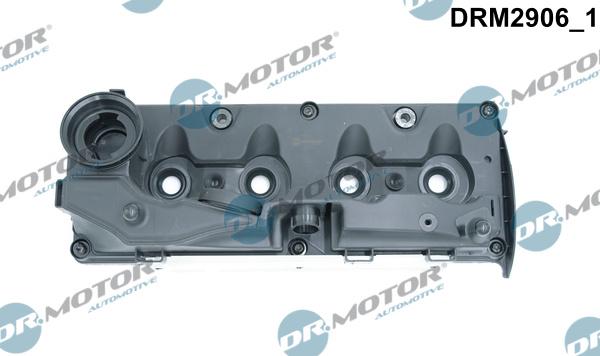 Dr.Motor Automotive DRM2906 - Capac culbutor allinparts.ro