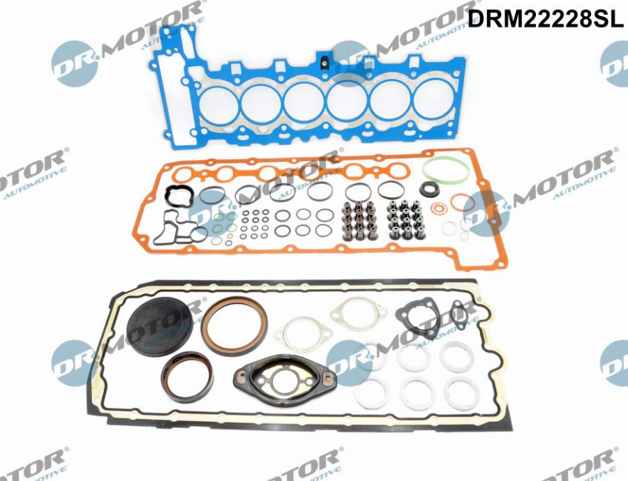 Dr.Motor Automotive DRM22228SL - Set garnituri complet, motor - allinparts.ro