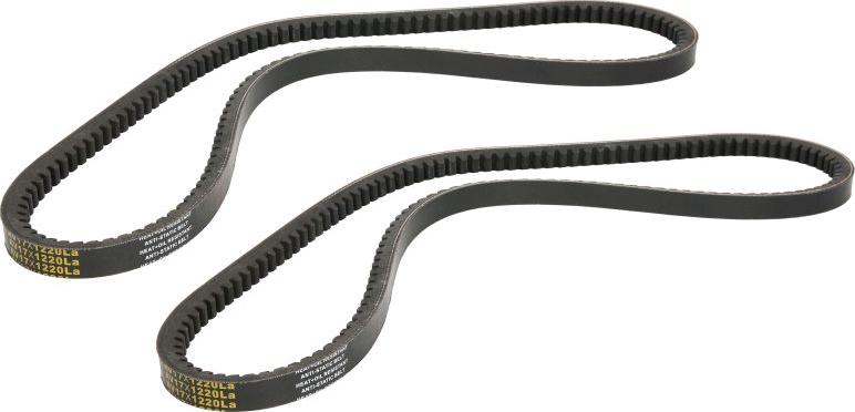 DT Spare Parts 7.54874 - Set curea transmisie allinparts.ro