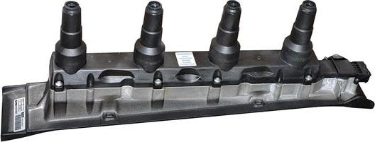 EFI 155421 - Bobina de inductie allinparts.ro