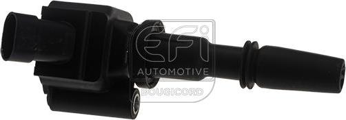 EFI 155542 - Bobina de inductie - allinparts.ro