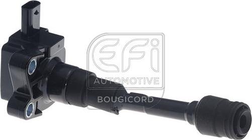 EFI 155522 - Bobina de inductie allinparts.ro