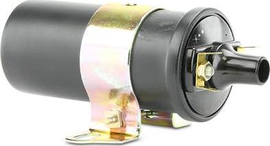 EFI 155198 - Bobina de inductie allinparts.ro