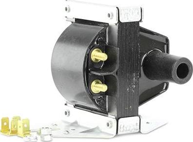 EFI 155341 - Bobina de inductie - allinparts.ro