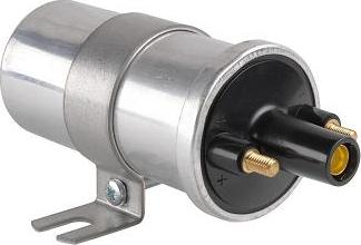 EFI 155266 - Bobina de inductie allinparts.ro
