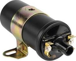 EFI 155216 - Bobina de inductie allinparts.ro