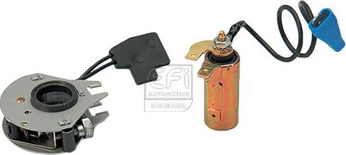 EFI 160511 - Set montare, modul aprindere allinparts.ro