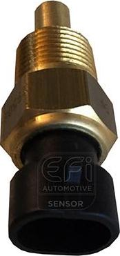 EFI 295069 - Senzor,temperatura ulei allinparts.ro