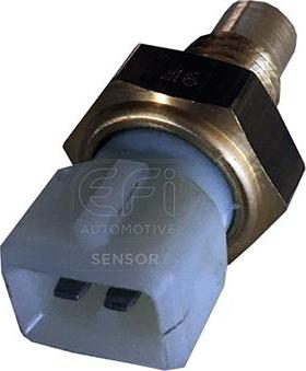 EFI 295007 - Senzor,temperatura lichid de racire - allinparts.ro