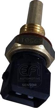 EFI 295011 - Senzor,temperatura lichid de racire - allinparts.ro