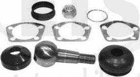 ETS 34.TS.702 - Set reparatie, pivot - allinparts.ro