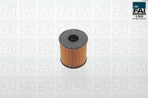 FAI AutoParts FPOF101 - Filtru ulei allinparts.ro
