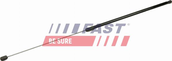 Fast FT94806 - Amortizor portbagaj allinparts.ro