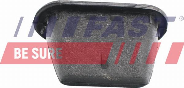 Fast FT95203 - Ghid, buton de inchidere allinparts.ro