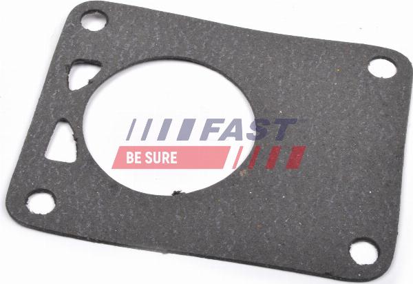 Fast FT49901 - Garnitura, pompa vacuum allinparts.ro