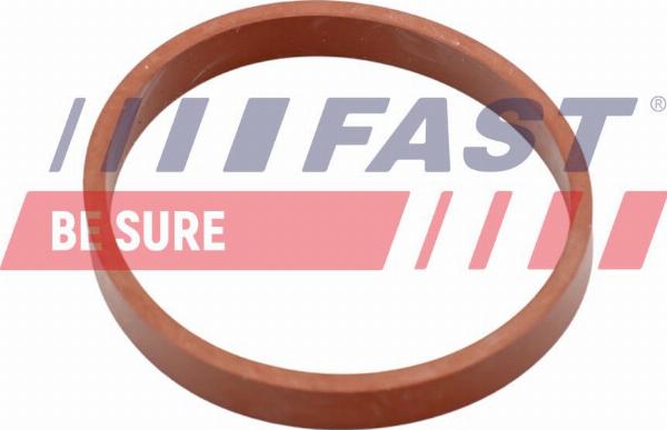 Fast FT49418 - Garnitura, galerie admisie allinparts.ro