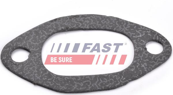 Fast FT49427 - Garnitura, galerie admisie - allinparts.ro