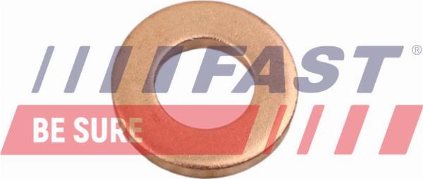 Fast FT49846 - Etansare, suport injector allinparts.ro