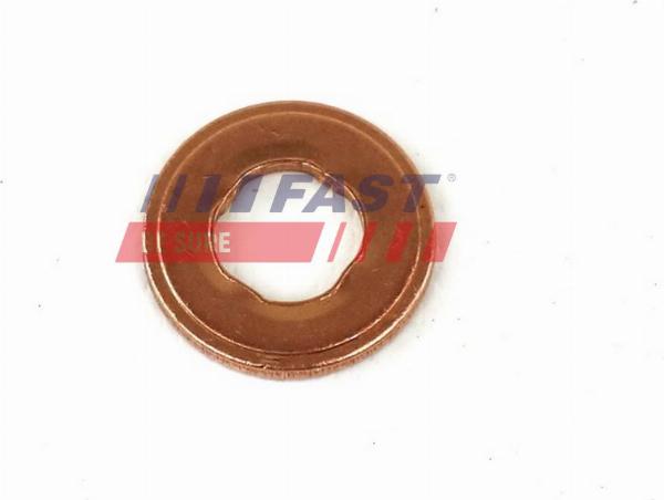 Fast FT49847 - Etansare, suport injector - allinparts.ro